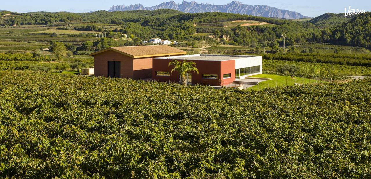 Bodega familiar preparada para bautizo.